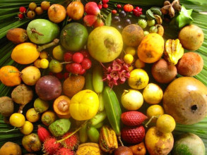 Range of exotic fruits