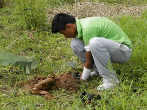 Un jeune kichwa découvre les techniques de plantation d'arbustes