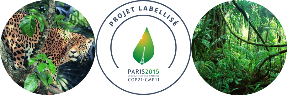 Le projet Ishpingo est labellisé COP21