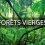 L’urgence de protéger les forêts vierges