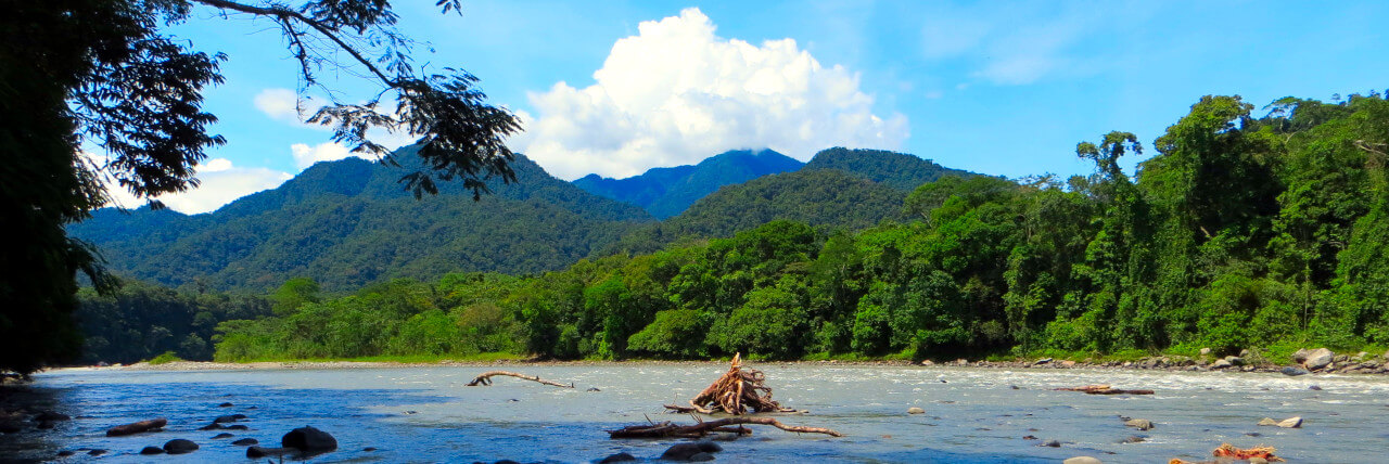 The Rio Napo crossing through the rainforest