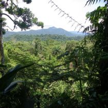 Paysage de la vallée du Napo
