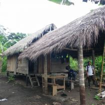 Cabane de formation des populations à l'agroforesterie