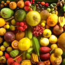 Sélection de fruits