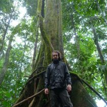 Un bel arbre au milieu de la forêt