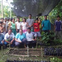 Equipe de reforestation