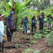 Equipe de reforestation