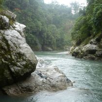 Une rivière traverse la forêt