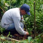 Agriculteur kichwa