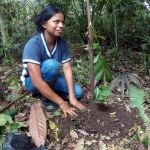 Agricultrice kichwa