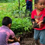Lorsque la reforestation est un jeu