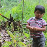 binary comment Manger des fruits issus de la reforestation