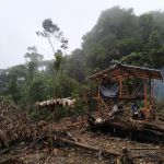 Déforestation et construction