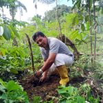 Un agriculteur reboise sa parcelle