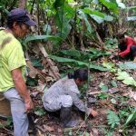 binary comment Reforestation