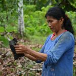Travaux de reforestation