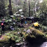 Biodiversité