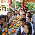 Éducation environnementale