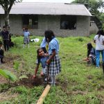 Éducation environnementale
