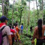 Formation à l'agroforesterie
