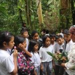 Éducation environnementale