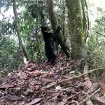 Biodiversité