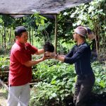 Reforestation