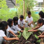 Éducation environnementale