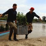 Transport de plants