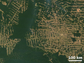Une idée de l'étendue de la déforestation en Amazonie