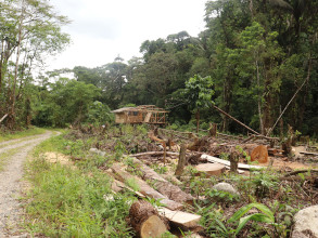 Progression du front pionnier et de la déforestation
