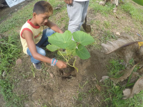 Un jeune équatorien apprend les gestes de base de la reforestation