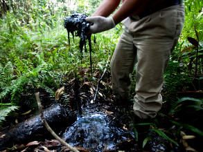 La pollution causée par l'exploitation du pétrole en Equateur